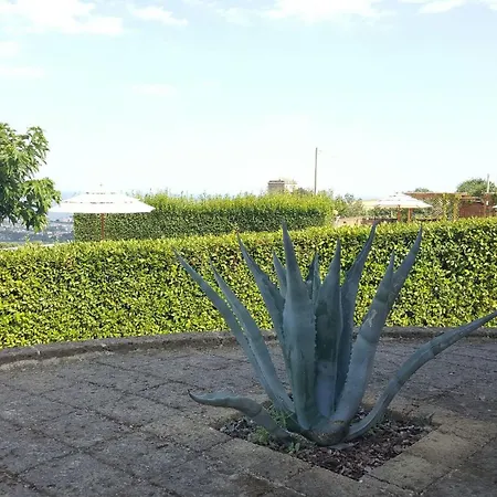 Belvedere House - Rosa House Semesterbostad *